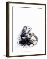 Squid in its Own Ink-Nicolas Lemonnier-Framed Photographic Print