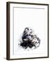 Squid in its Own Ink-Nicolas Lemonnier-Framed Photographic Print