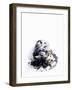 Squid in its Own Ink-Nicolas Lemonnier-Framed Photographic Print