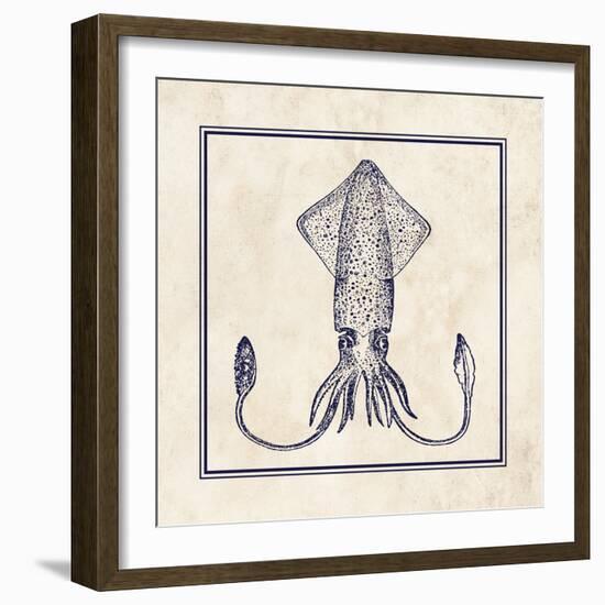 Squid Sq-N. Harbick-Framed Art Print