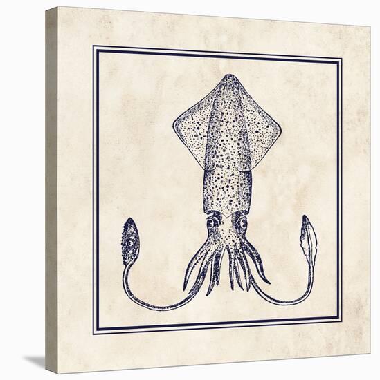 Squid Sq-N. Harbick-Stretched Canvas