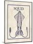 Squid-N. Harbick-Mounted Art Print