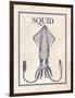 Squid-N. Harbick-Framed Art Print