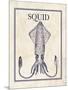 Squid-N. Harbick-Mounted Art Print