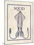 Squid-N. Harbick-Mounted Art Print