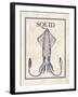 Squid-N. Harbick-Framed Art Print