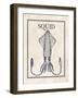 Squid-N. Harbick-Framed Art Print