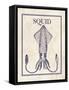 Squid-N. Harbick-Framed Stretched Canvas