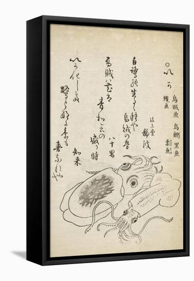 Squid-Katsuma Ryusai-Framed Stretched Canvas