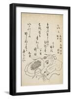 Squid-Katsuma Ryusai-Framed Giclee Print