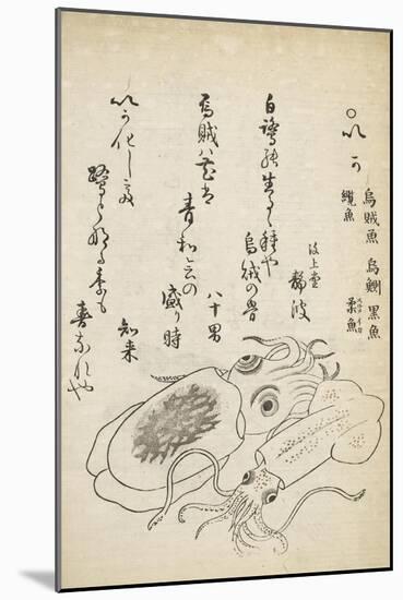 Squid-Katsuma Ryusai-Mounted Giclee Print