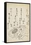 Squid-Katsuma Ryusai-Framed Stretched Canvas