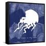 Squid-Erin Clark-Framed Stretched Canvas