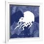 Squid-Erin Clark-Framed Giclee Print