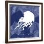 Squid-Erin Clark-Framed Giclee Print