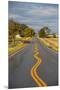 Squiggly Painted Lines On A Two Lane Highway-Ben Herndon-Mounted Premium Photographic Print