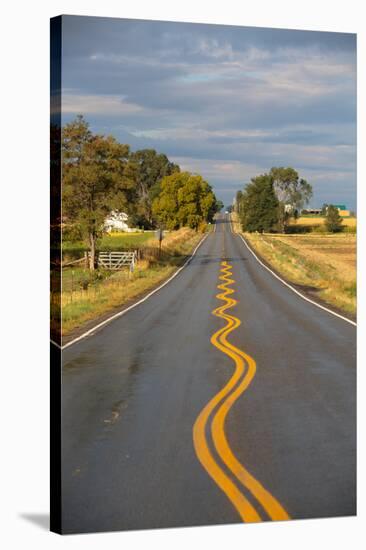 Squiggly Painted Lines On A Two Lane Highway-Ben Herndon-Stretched Canvas