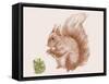 Squirrel  2017  (digital)-Sarah Hough-Framed Stretched Canvas