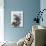 Squirrel Birdkeeper and Blue Acorns-null-Stretched Canvas displayed on a wall