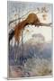 Squirrel in Tree C1917-Honor C. Appleton-Mounted Premium Giclee Print