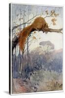 Squirrel in Tree C1917-Honor C. Appleton-Stretched Canvas