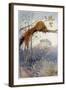 Squirrel in Tree C1917-Honor C. Appleton-Framed Art Print