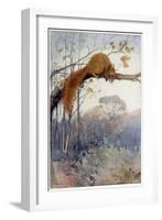 Squirrel in Tree C1917-Honor C. Appleton-Framed Art Print