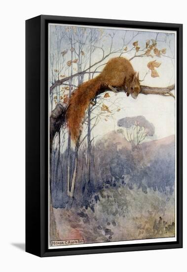 Squirrel in Tree C1917-Honor C. Appleton-Framed Stretched Canvas