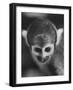 Squirrel Monkey, Baker, Who Made Space Flight in Jupiter Missile, in Lab-Grey Villet-Framed Photographic Print