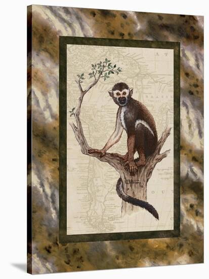Squirrel Monkey-Janet Kruskamp-Stretched Canvas