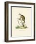 Squirrel Monkey-null-Framed Giclee Print