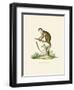 Squirrel Monkey-null-Framed Giclee Print