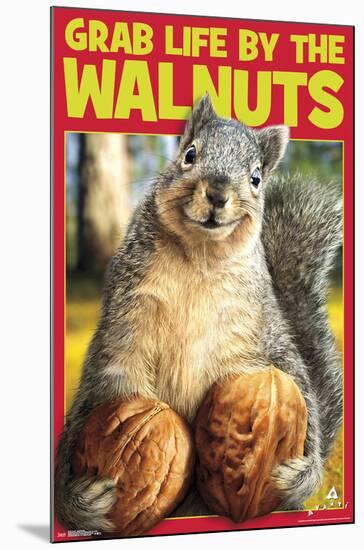 Squirrel Nuts-null-Mounted Standard Poster