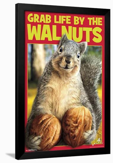 Squirrel Nuts-null-Framed Standard Poster