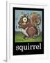 Squirrel Poster-Tim Nyberg-Framed Giclee Print