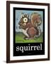 Squirrel Poster-Tim Nyberg-Framed Giclee Print