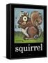 Squirrel Poster-Tim Nyberg-Framed Stretched Canvas