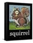 Squirrel Poster-Tim Nyberg-Framed Stretched Canvas