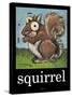 Squirrel Poster-Tim Nyberg-Stretched Canvas
