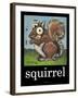 Squirrel Poster-Tim Nyberg-Framed Giclee Print