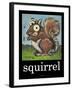 Squirrel Poster-Tim Nyberg-Framed Giclee Print
