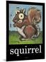 Squirrel Poster-Tim Nyberg-Mounted Giclee Print
