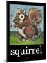 Squirrel Poster-Tim Nyberg-Mounted Giclee Print