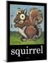 Squirrel Poster-Tim Nyberg-Mounted Giclee Print