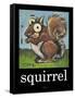 Squirrel Poster-Tim Nyberg-Framed Stretched Canvas