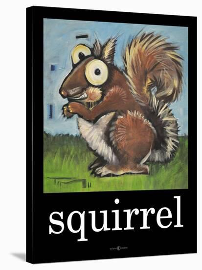 Squirrel Poster-Tim Nyberg-Stretched Canvas