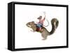Squirrel Rodeo-J Hovenstine Studios-Framed Stretched Canvas