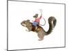 Squirrel Rodeo-J Hovenstine Studios-Mounted Premium Giclee Print