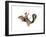 Squirrel Rodeo-J Hovenstine Studios-Framed Giclee Print