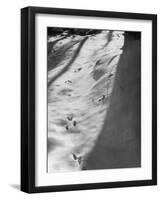 Squirrel Tracks in Snow-null-Framed Photographic Print